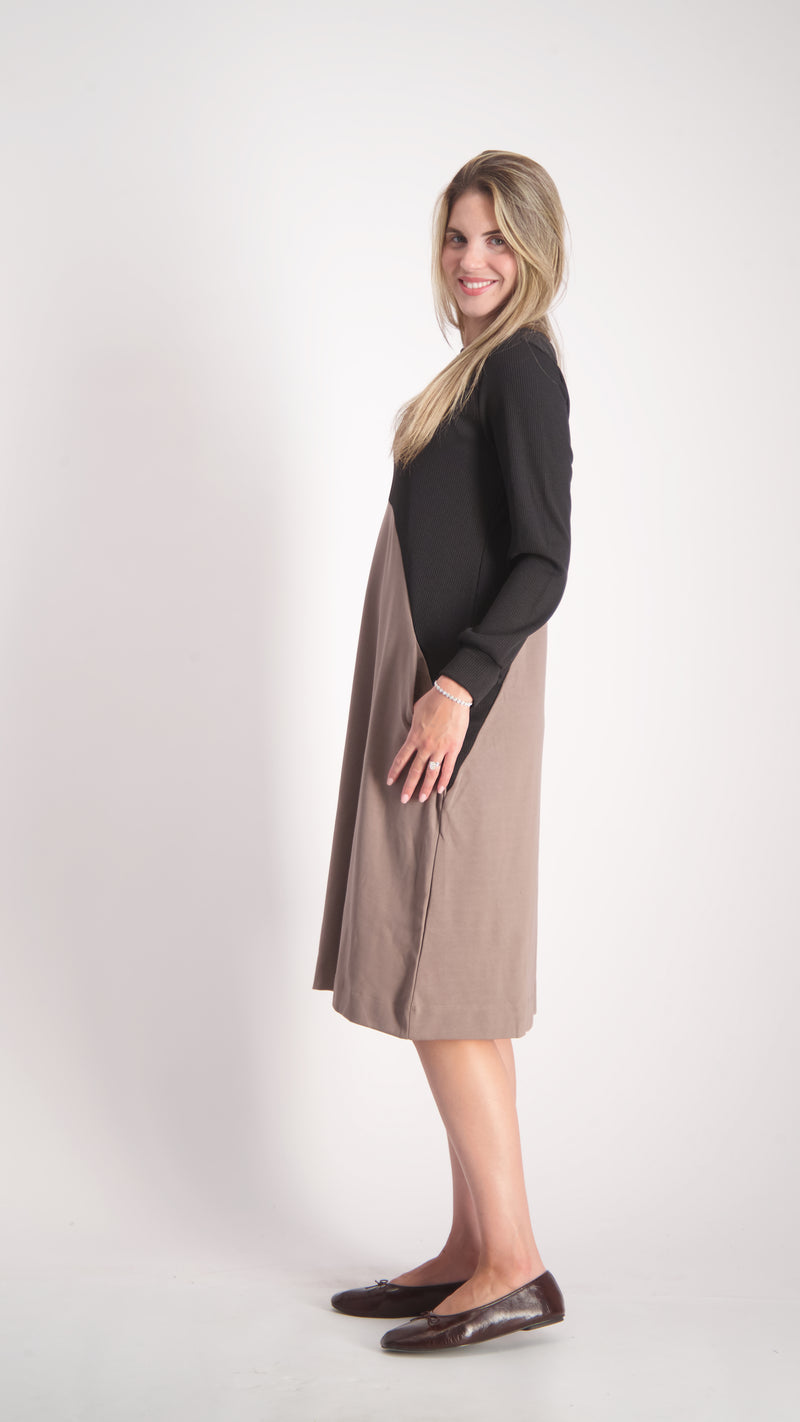 Waisted Dress / Brown