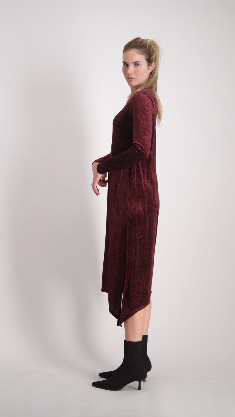 Asymmetric Velvet Dress / Bugandy Sparkle