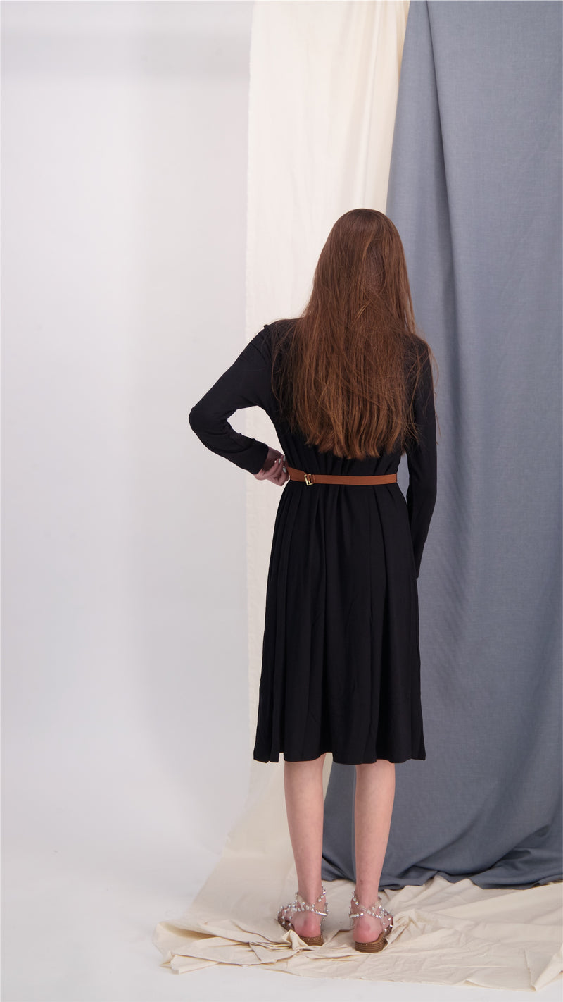 A-line Solid Dress Black