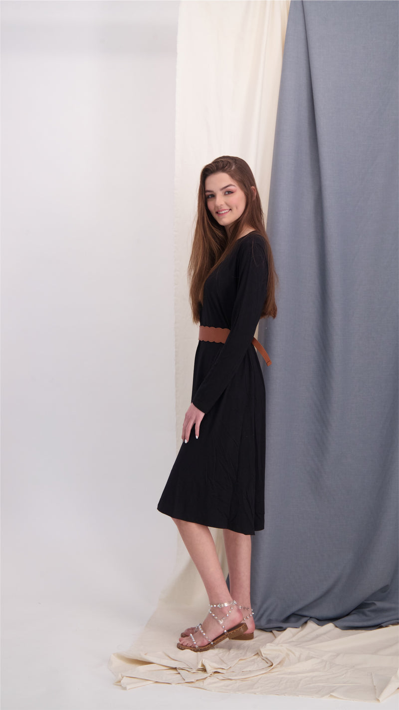 A-line Solid Dress Black
