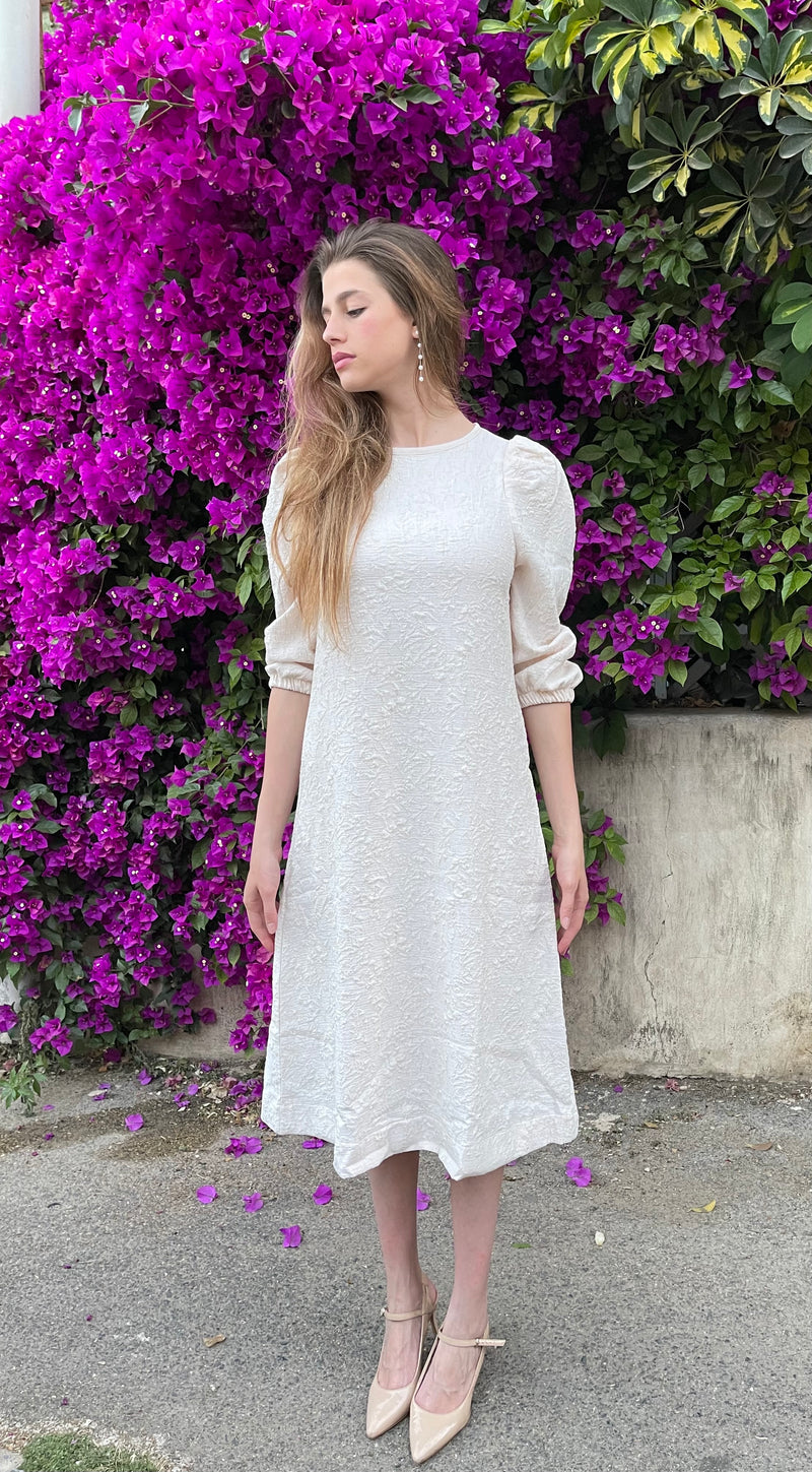 Brocade Elegant Dress / Pudra